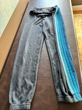 Aviator Nation Gray Sweatpants with Teal & Blue Side Stripes